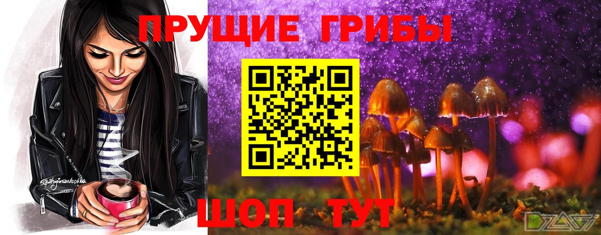 Галлюциногенные грибы прущие грибы Лесосибирск